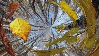 Настроенье надоело
