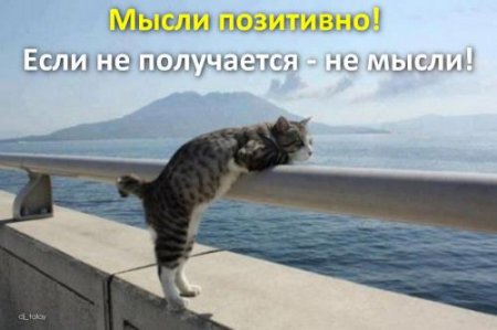 Вновь солнечное утро...