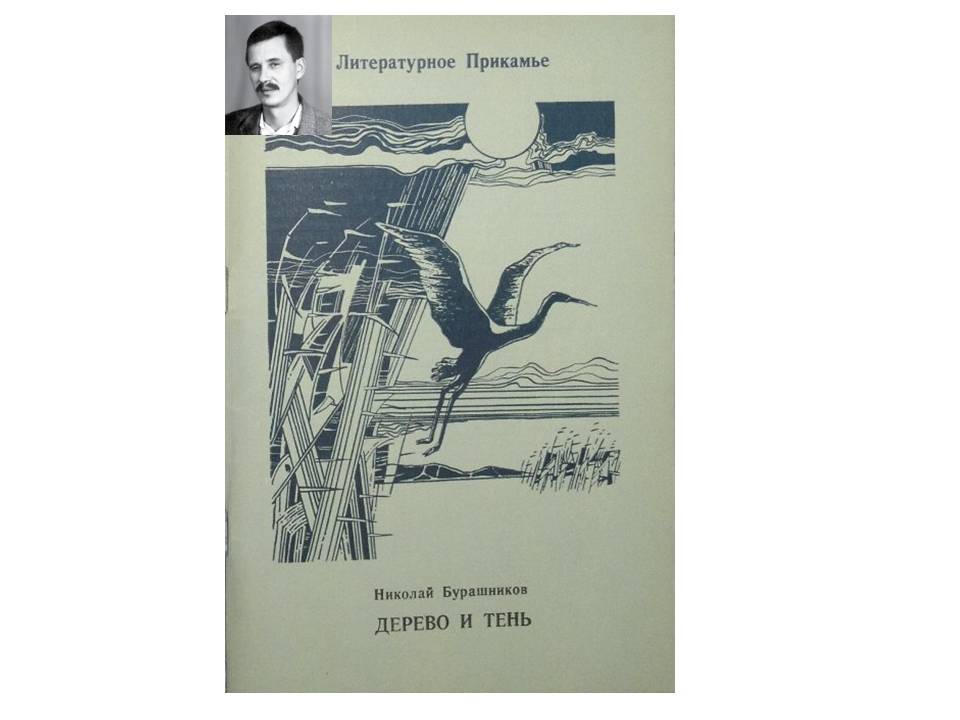 Как победить холод: советы по защите от тени деревьев