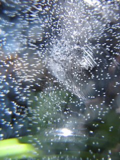 Печальны Осени рулады