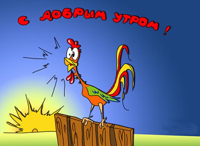 Кто научил петуха кукарекать каждое утро?