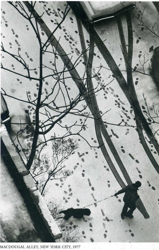 Под слезливыми крышами...