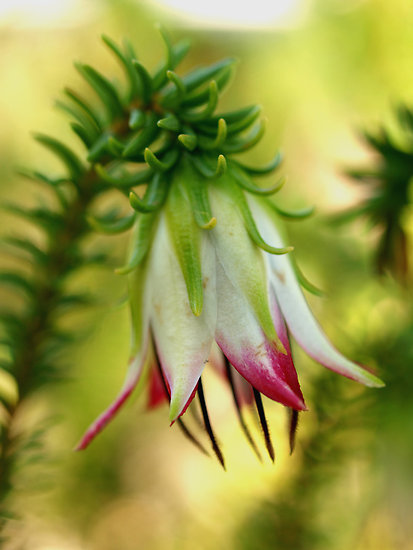 Зажги свечу и просто помолчи