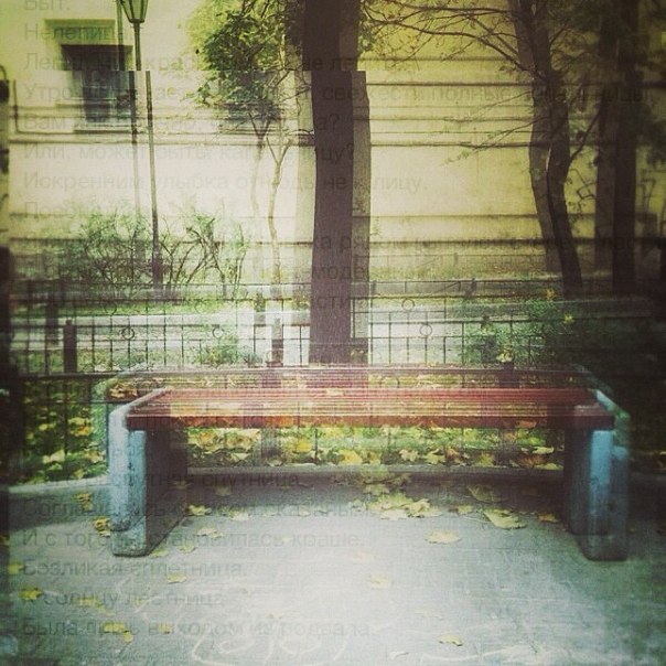 Ни любви, ни дружбы, ни честности