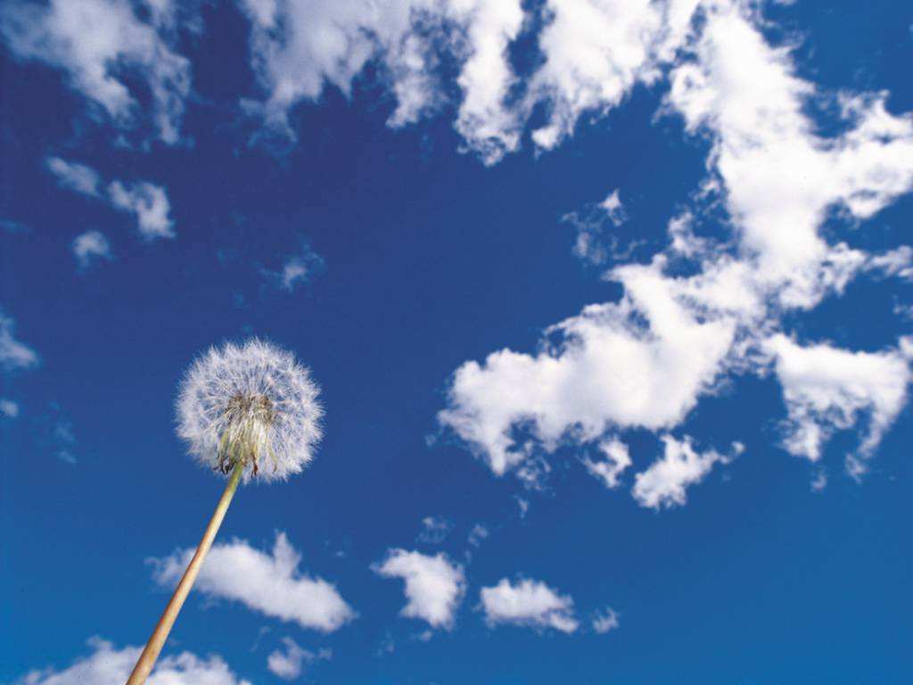 Вера в Бога