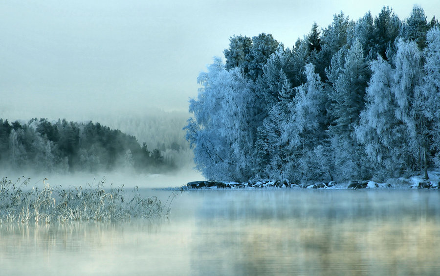 А мы зимушку ждем...