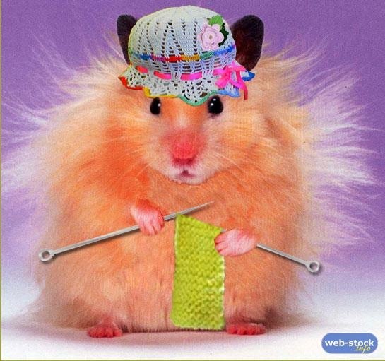 Взгляд в душу...