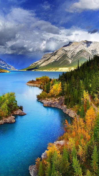 Фактор Начала