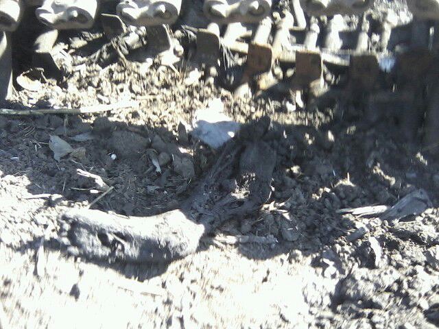 Будь осторожен, друг...