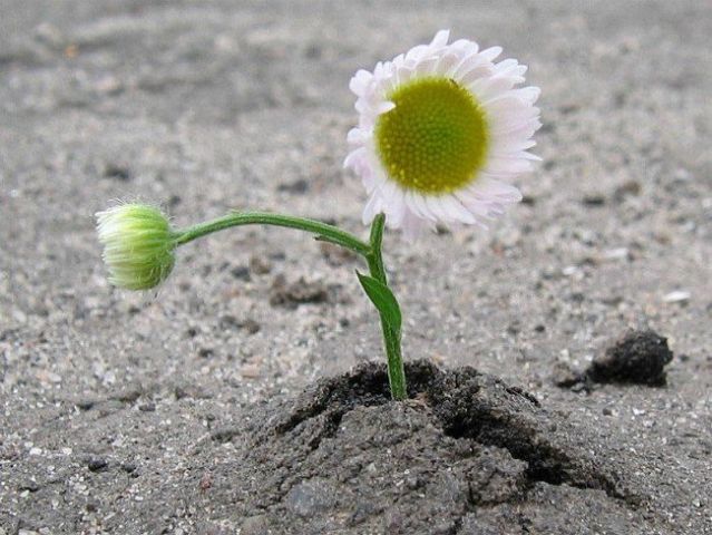 Судьба не справедлива?