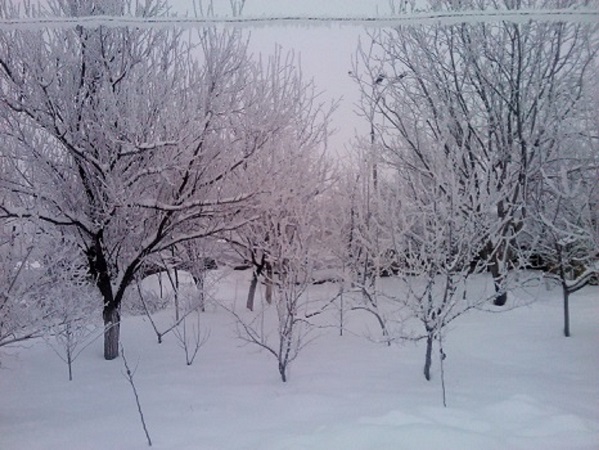 Ледяной туман