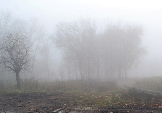 Романс. Дни осенние сменились...