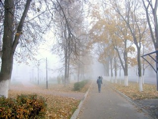 Осень милая туманом