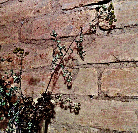 я всю жизнь подспудно жду возмездия