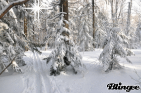 Как прекрасен лес в убранстве зимнем