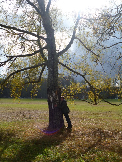 Бархат стихов