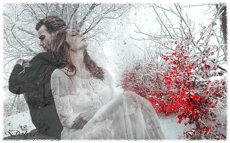 Серебрит берёзовая рань