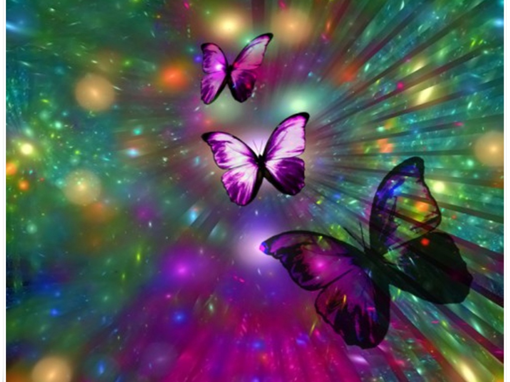 Бабочки на лунной полосе