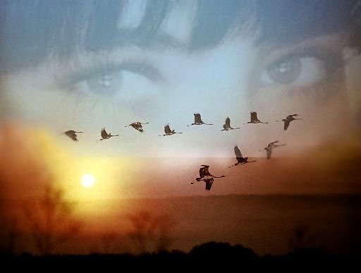 Жалобный крик