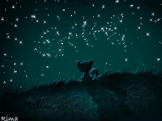 Звездная ночь