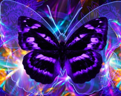 Радость от Погоды не зависит...