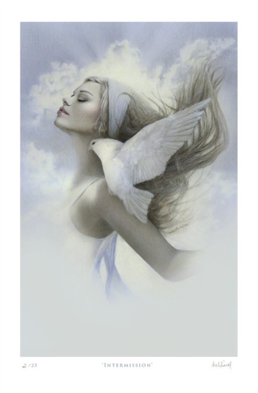 Совенок и голубь