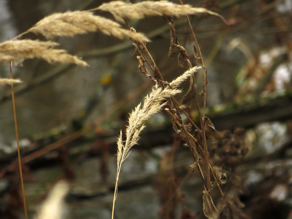 всё с маленькой буквы...