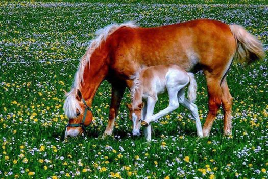 Не стоит печалиться...