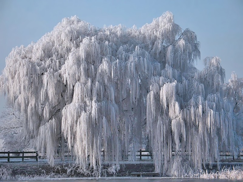 А снег все идет и идет