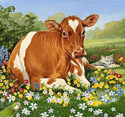 Очень вежливый разговор с Коровой. Delmi