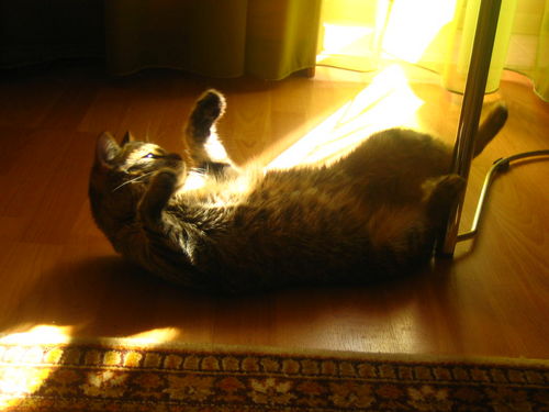 Завтра будет солнце