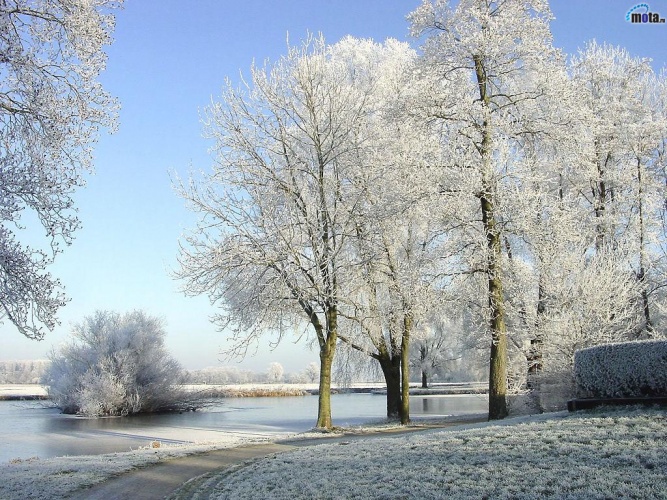 Первый зимний день