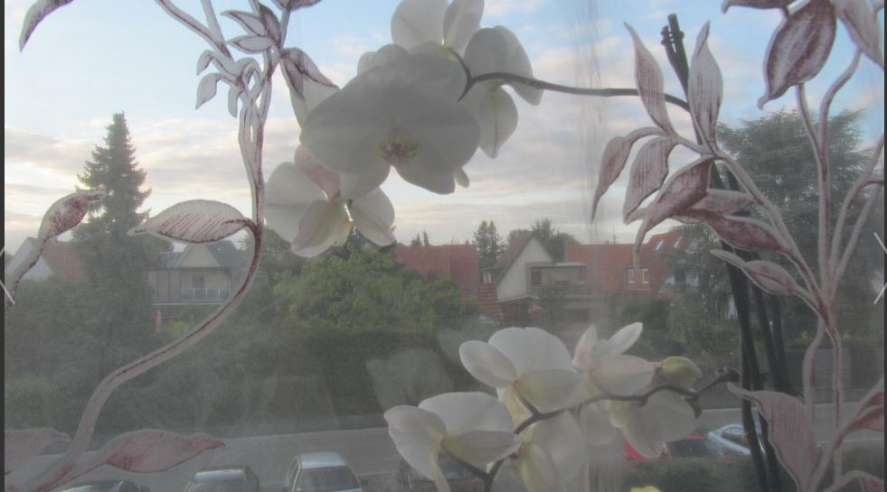 Застудилась душа, любовью заболела