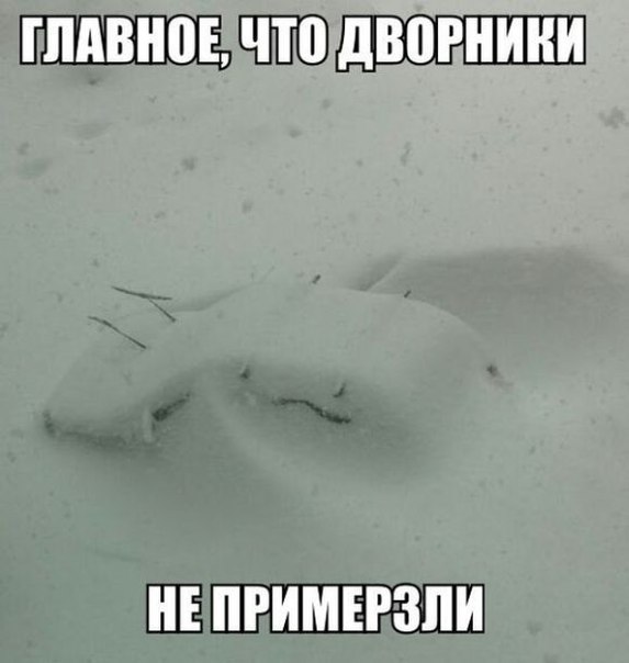 Конь в снегу