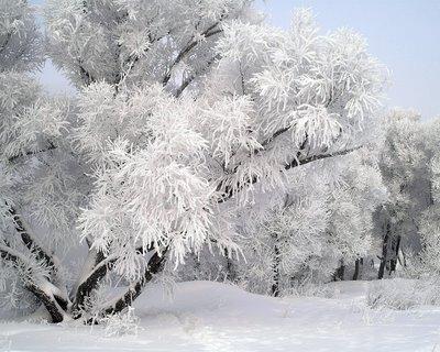 Принеси зима удачу...