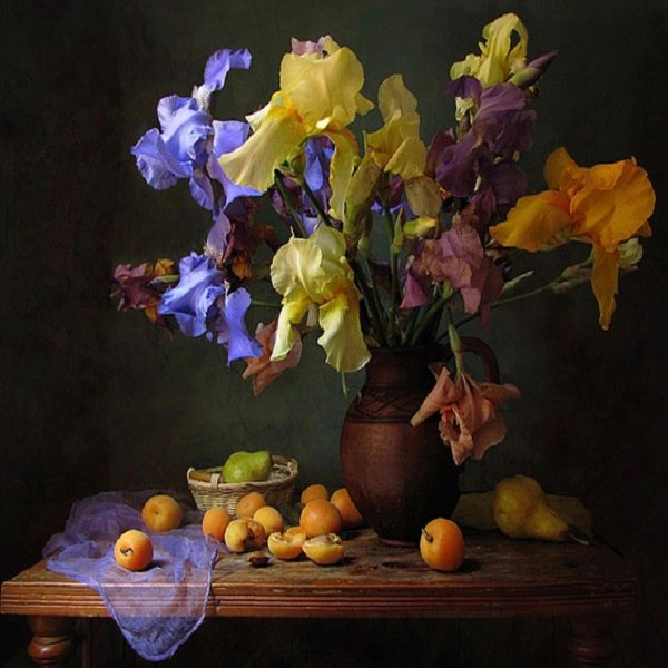 Наша дружба