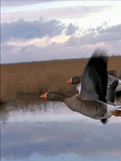 Случайно встретились, да также и расстались