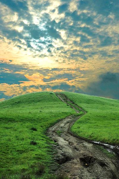 Не многословь...