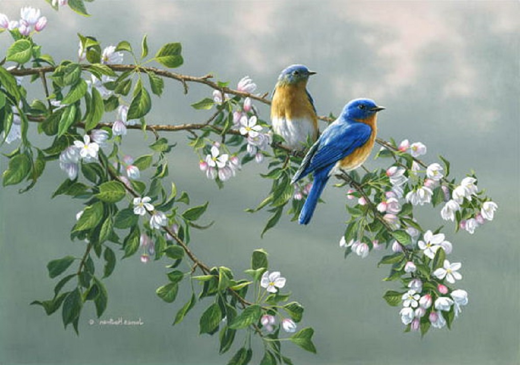 Душа откроет истины случайно...