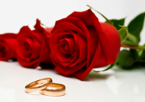 И в Алой Розе есть следы печали