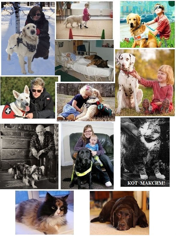 Альманах Братья наши меньшие