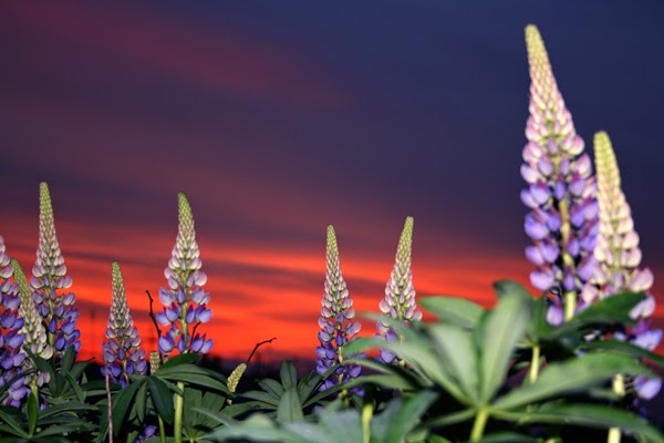 Из концепций палеоконтакта