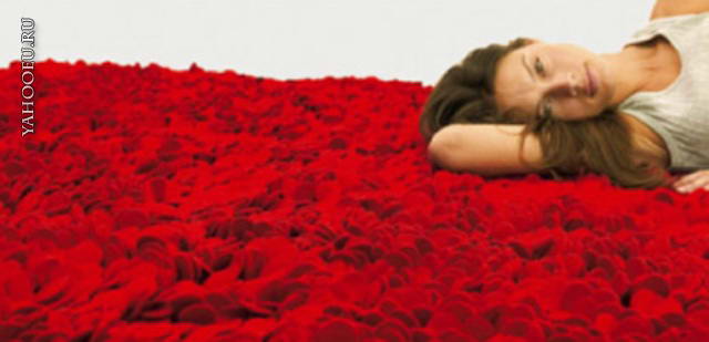 Из роз мне покрывало тобой свито-экс для И Шабанов