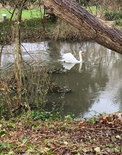 О любви писать