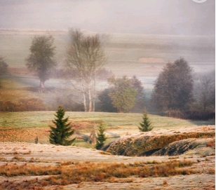 на осеннее фото