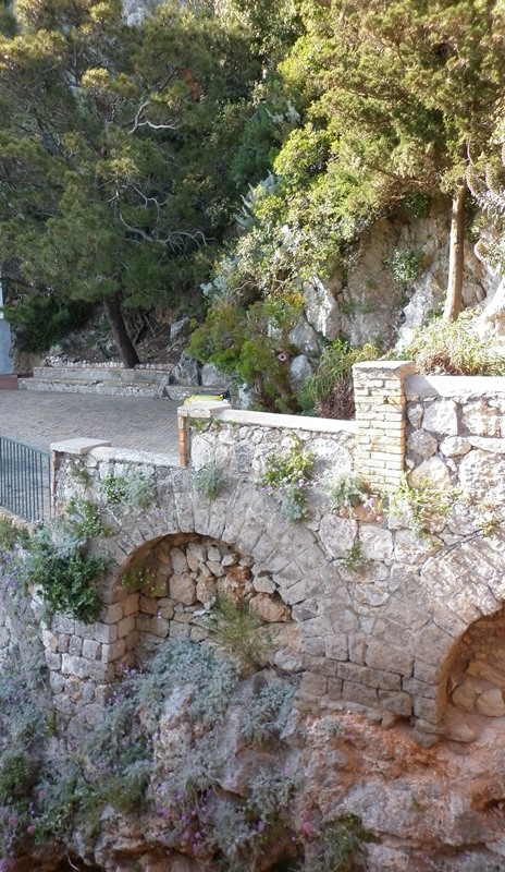 Хочу впитаться в эти дерева...