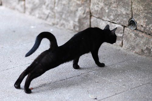 Симпатия. Игорь Лагерев - Delmi