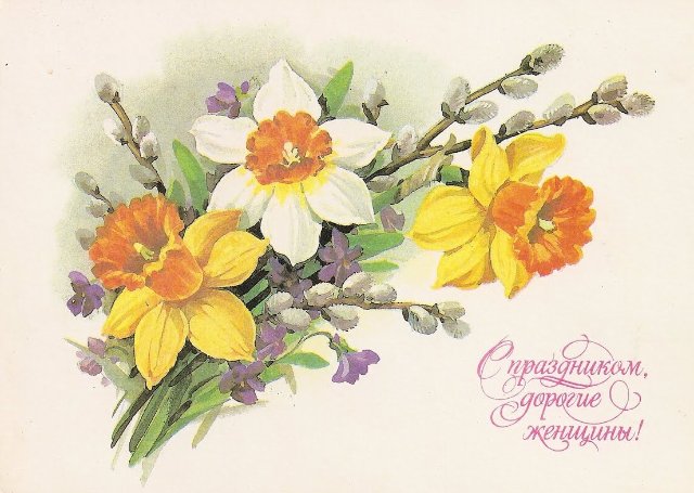 Нарциссы