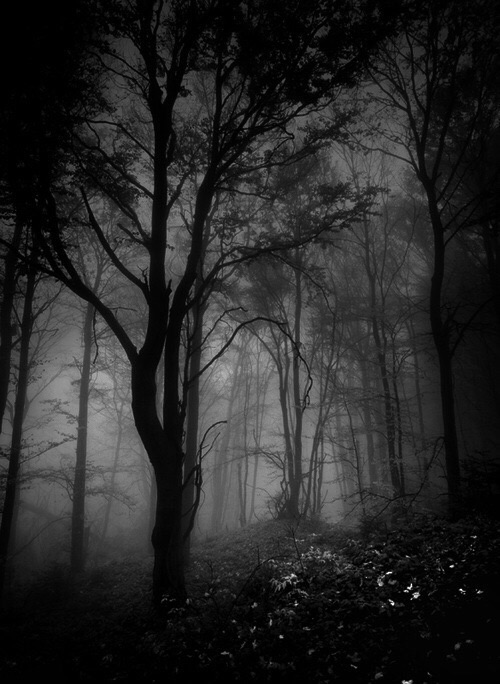 Слепоглухонемота