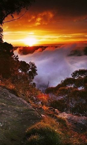 Ты не умрёшь...